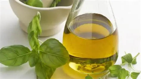 oil of oregano